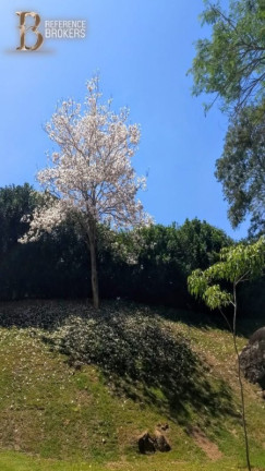 Imóvel com 4 Quartos à Venda, 450 m² em Xampira - Itatiba