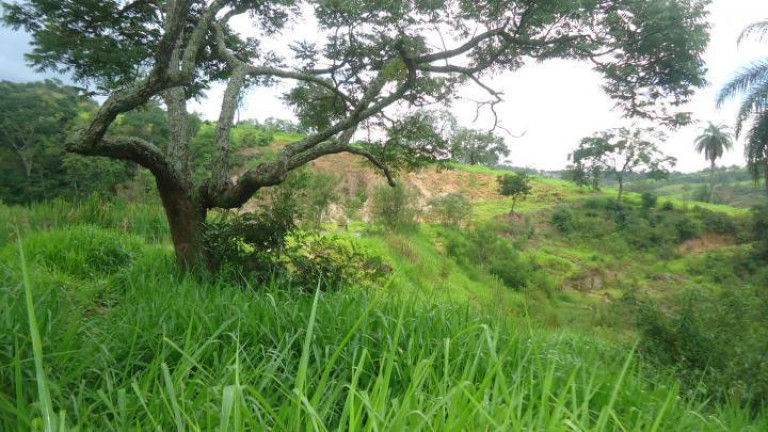 Imagem Fazenda à Venda, 60 m² em Azurita - Mateus Leme