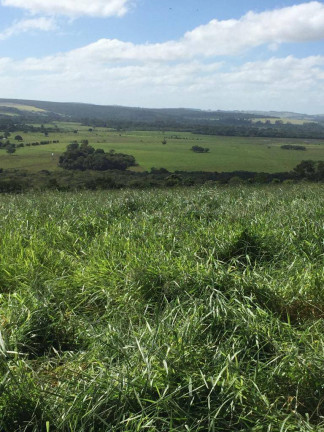 Imagem Chácara à Venda, 123 m² em Tijuco Preto - Santana Do Itararé Imagem Chácara à Venda, 123 m² em Tijuco Preto - Santana Do Itararé