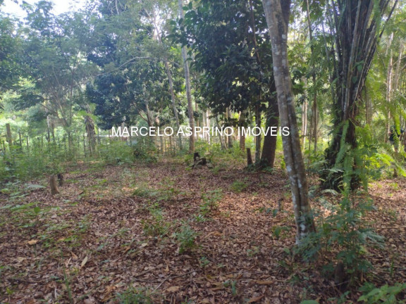 Imagem Imóvel à Venda, 32 m² em Serra Grande - Uruçuca Imagem Imóvel à Venda, 32 m² em Serra Grande - Uruçuca