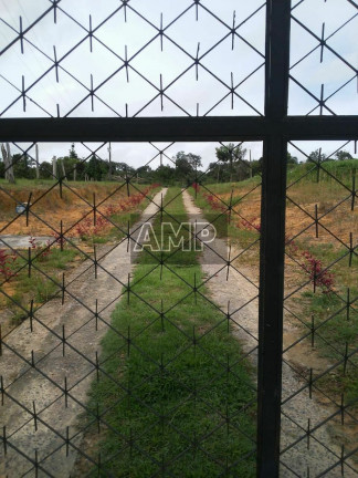 Imagem Imóvel com 3 Quartos à Venda, 5.000 m² em Centro - Rio Preto Da Eva