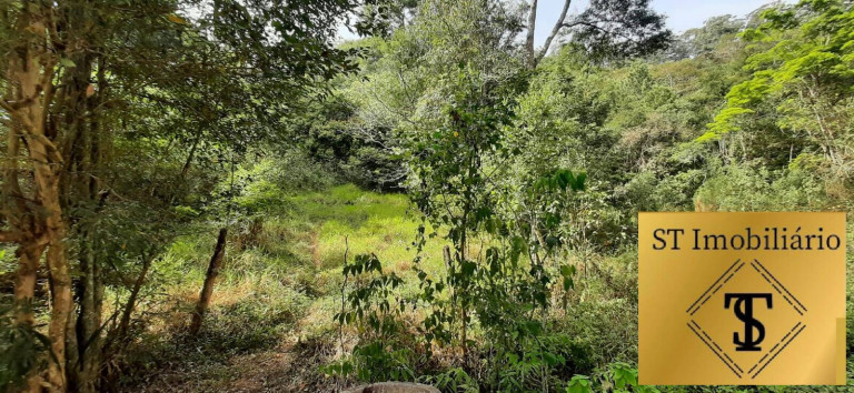 Imagem Chácara com 3 Quartos à Venda, 72.000 m² em Estância Santa Maria Do Portão - Atibaia