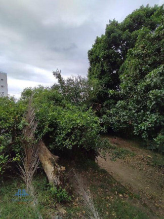 Imagem Terreno à Venda, 950 m² em Agronômica - Florianópolis Imagem Terreno à Venda, 950 m² em Agronômica - Florianópolis