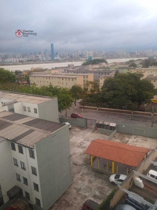 Imagem Apartamento com 2 Quartos à Venda, 50 m² em Quinta Da Paineira - São Paulo