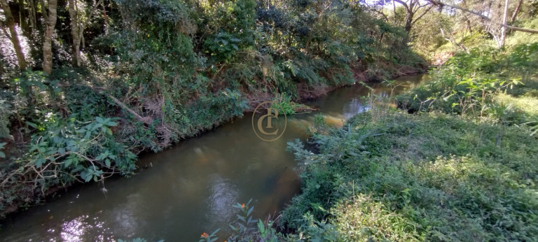 Imagem Chácara com 3 Quartos à Venda, em Curralinho - Lagoinha Imagem Chácara com 3 Quartos à Venda, em Curralinho - Lagoinha