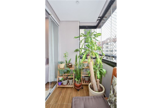 Imagem Apartamento com 3 Quartos à Venda, 107 m² em Jardim Vila Mariana - São Paulo