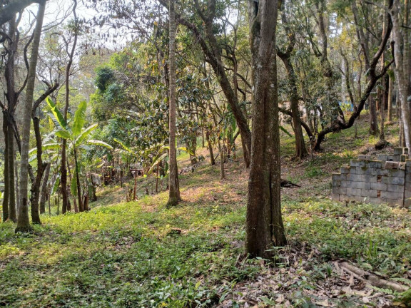 Imagem Chácara com 3 Quartos à Venda, 4.000 m² em Mato Dentro - Mairiporã Imagem Chácara com 3 Quartos à Venda, 4.000 m² em Mato Dentro - Mairiporã