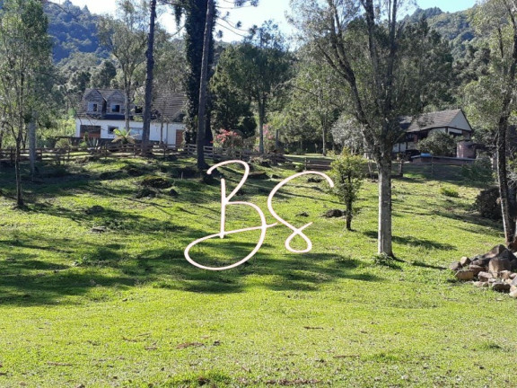 Imagem Imóvel com 2 Quartos à Venda, 15.000 m² em Linha Araripe - Gramado Imagem Imóvel com 2 Quartos à Venda, 15.000 m² em Linha Araripe - Gramado