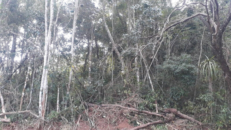 Imagem Terreno à Venda, 1.000 m² em Ortizes - Piedade Imagem Terreno à Venda, 1.000 m² em Ortizes - Piedade