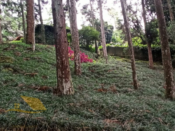 Imagem Chácara com 5 Quartos à Venda, 300 m² em Chácara Paraíso - Nova Friburgo Imagem Chácara com 5 Quartos à Venda, 300 m² em Chácara Paraíso - Nova Friburgo