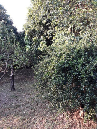 Imagem Casa com 3 Quartos à Venda, 238 m² em Centro - Salto Imagem Casa com 3 Quartos à Venda, 238 m² em Centro - Salto