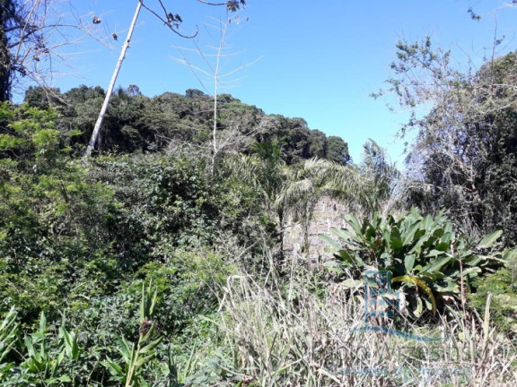 Imagem Terreno à Venda, 232.297 m² em Enseada - São Francisco Do Sul Imagem Terreno à Venda, 232.297 m² em Enseada - São Francisco Do Sul
