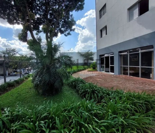 Imagem Apartamento com 2 Quartos à Venda, 62 m² em Jardim Brasil (zona Sul) - São Paulo Imagem Apartamento com 2 Quartos à Venda, 62 m² em Jardim Brasil (zona Sul) - São Paulo