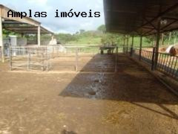 Imagem Fazenda à Venda,  em Queiroz - Mateus Leme