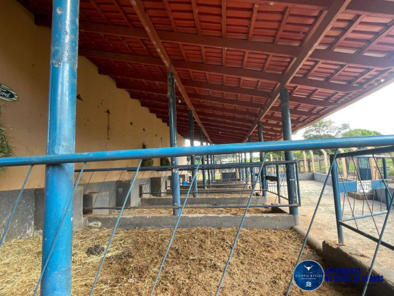 Imagem Fazenda à Venda, 40 m² em Zona Rural - Itaberaí Imagem Fazenda à Venda, 40 m² em Zona Rural - Itaberaí