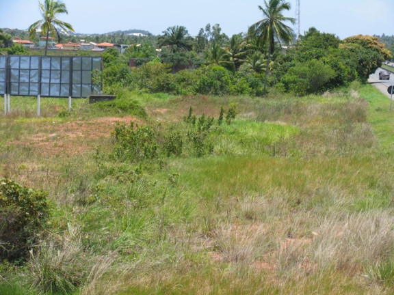 Imagem Terreno à Venda, 8.000 m² em Arembepe - Camaçari