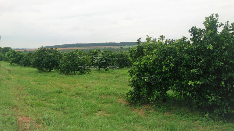 Imagem Terreno à Venda, 72.600 m² em Centro - Conchal