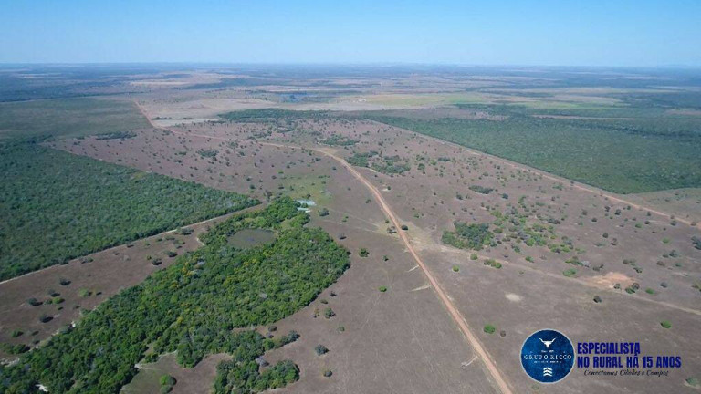 Imagem Fazenda à Venda, 988 m² em Zona Rural - Peixe Imagem Fazenda à Venda, 988 m² em Zona Rural - Peixe