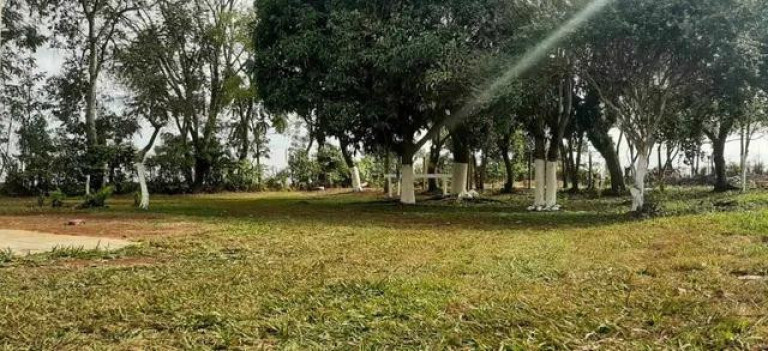 Imagem Chácara com 3 Quartos à Venda, 31.000 m² em Centro - Tamarana Imagem Chácara com 3 Quartos à Venda, 31.000 m² em Centro - Tamarana