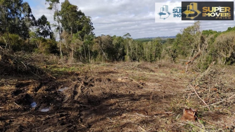Imagem Imóvel com 2 Quartos à Venda, 580.000 m² em Centro - Canguçu