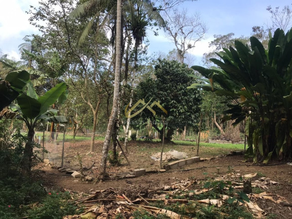 Imagem Terreno à Venda, 32 m² em Horto Florestal - Ubatuba Imagem Terreno à Venda, 32 m² em Horto Florestal - Ubatuba