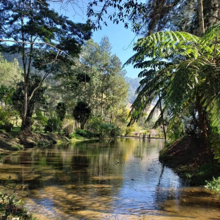 Imagem Chácara com 5 Quartos à Venda, 20 m² em Jardim Ouro Preto - Nova Friburgo Imagem Chácara com 5 Quartos à Venda, 20 m² em Jardim Ouro Preto - Nova Friburgo