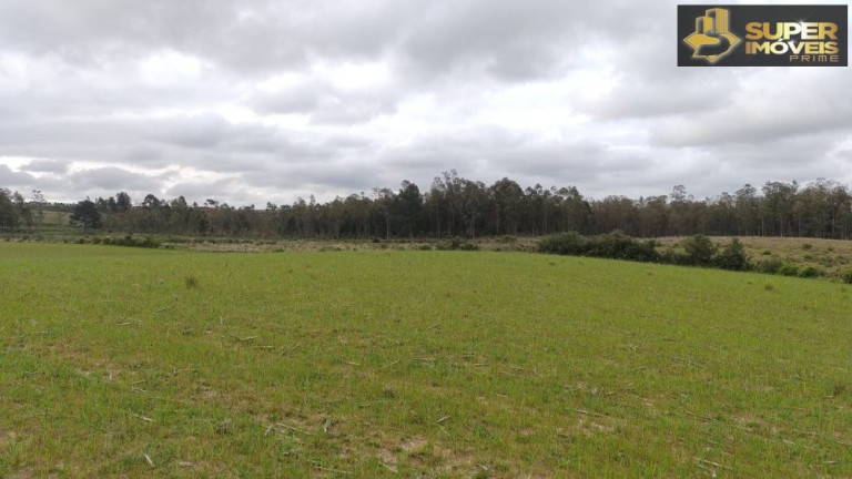 Imagem Imóvel com 3 Quartos à Venda, 660.000 m² em Zona Rural - Capão Do Leão