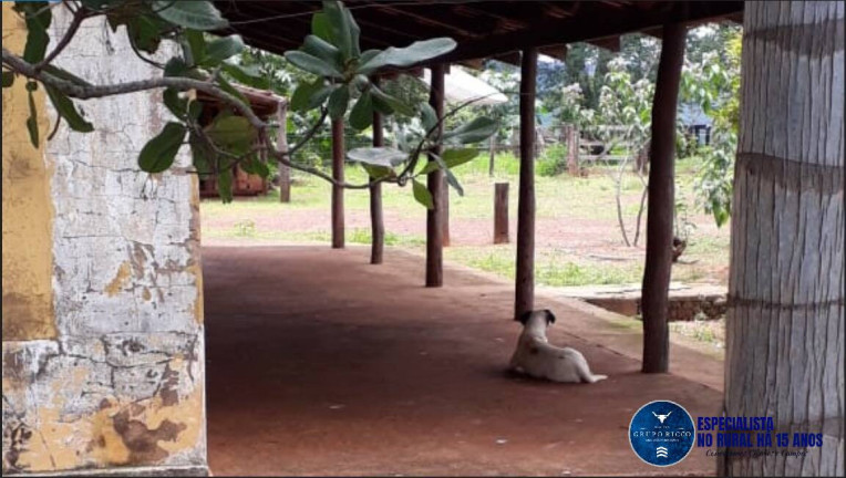 Imagem Fazenda à Venda, 209 m² em Zona Rural - Doverlândia Imagem Fazenda à Venda, 209 m² em Zona Rural - Doverlândia