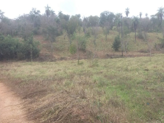 Imagem Imóvel à Venda, 20.000 m² em São José Da Serra - Jaboticatubas Imagem Imóvel à Venda, 20.000 m² em São José Da Serra - Jaboticatubas