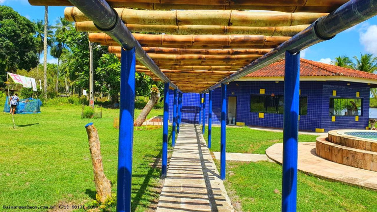 Imagem Chácara à Venda, 10 m² em São Roque Do Paraguaçu - Maragogipe