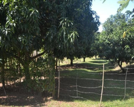 Imagem Imóvel à Venda, em . - Tanguá Imagem Imóvel à Venda, em . - Tanguá