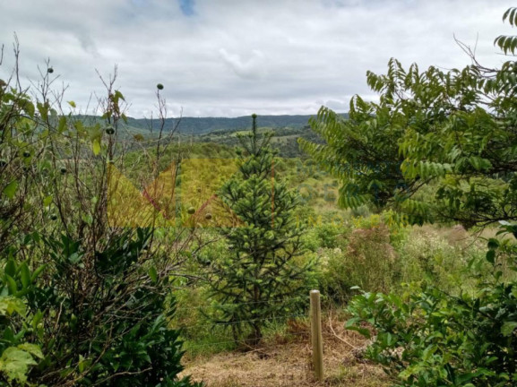 Imagem Fazenda à Venda, 64.288 m² em Barra Avencal - Rio Dos Cedros
