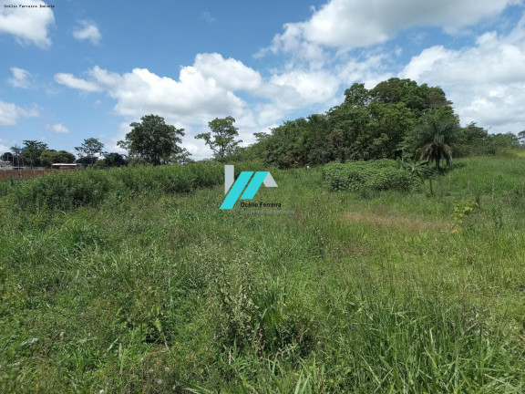 Imagem Fazenda à Venda, 2.500 m² em Serra Negra - Betim Imagem Fazenda à Venda, 2.500 m² em Serra Negra - Betim