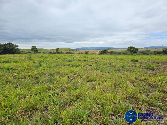 Imagem Fazenda à Venda, 1 m² em Zona Rural - Bom Jardim De Goiás Imagem Fazenda à Venda, 1 m² em Zona Rural - Bom Jardim De Goiás
