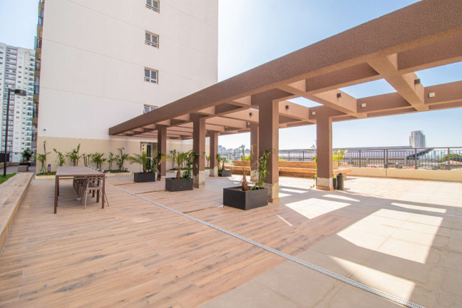 Imagem Apartamento com 2 Quartos à Venda, 39 m² em Vila Sônia - São Paulo