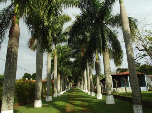 Imagem Imóvel com 4 Quartos à Venda, 450 m² em Vila Americana - Tatuí Imagem Imóvel com 4 Quartos à Venda, 450 m² em Vila Americana - Tatuí