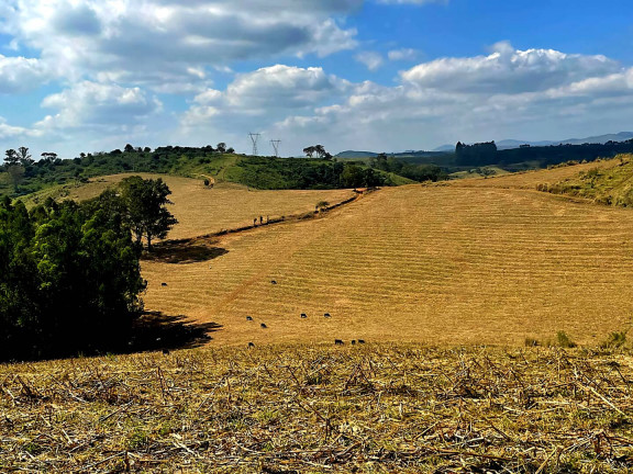 Imagem Fazenda à Venda, 92 m² em Poços De Caldas Imagem Fazenda à Venda, 92 m² em Poços De Caldas