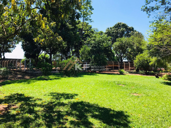 Imagem Imóvel com 4 Quartos à Venda, 5.200 m² em Condomínio Portal Dos Ipês - Ribeirão Preto Imagem Imóvel com 4 Quartos à Venda, 5.200 m² em Condomínio Portal Dos Ipês - Ribeirão Preto