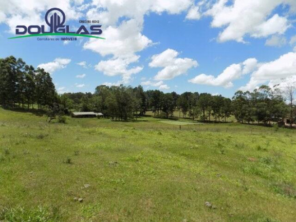 Imagem Chácara com 2 Quartos à Venda, 190.000 m² em Viamão