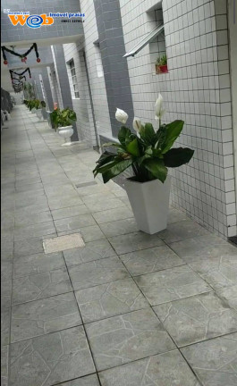 Imagem Casa de Condomínio com 1 Quarto à Venda,  em Jardim Real - Praia Grande