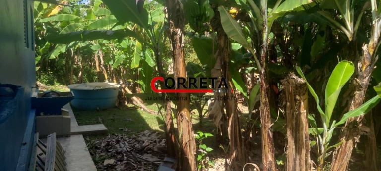 Imagem Casa com 2 Quartos à Venda, 1.600 m² em Piratuba - Ibiúna
