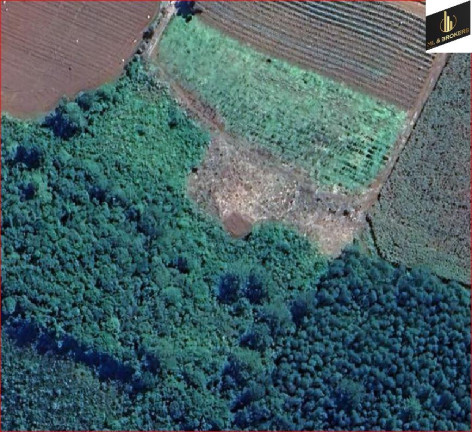 Imagem Imóvel com 3 Quartos à Venda, 48.000 m² em Bairro Retiro - Campo Magro Imagem Imóvel com 3 Quartos à Venda, 48.000 m² em Bairro Retiro - Campo Magro