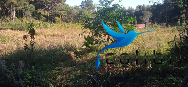 Imagem Chácara com 2 Quartos à Venda, 6.655 m² em Taboão - Agudos Do Sul Imagem Chácara com 2 Quartos à Venda, 6.655 m² em Taboão - Agudos Do Sul