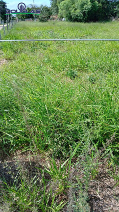 Imagem Terreno à Venda, 1.550 m² em águas Claras - Viamão