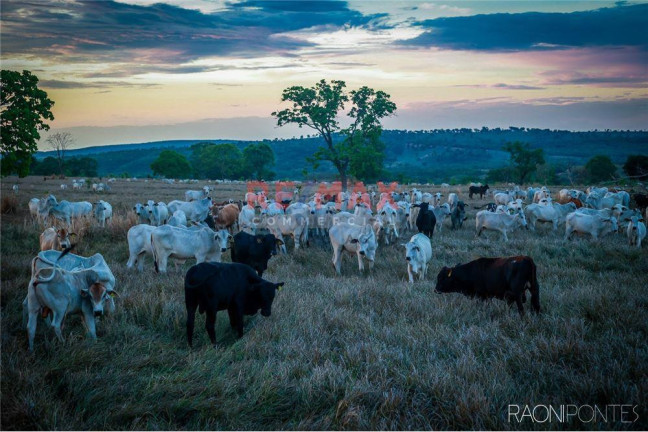 Imagem Fazenda à Venda, 45.340.000 m² em Centro - Figueirão - Figueirão Imagem Fazenda à Venda, 45.340.000 m² em Centro - Figueirão - Figueirão