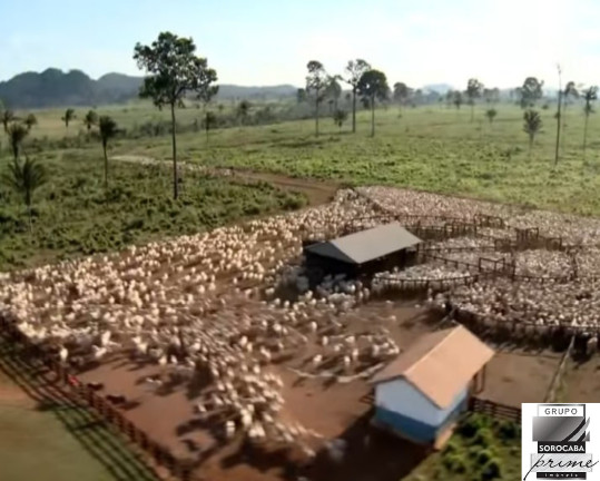 Imagem Imóvel à Venda, 427.000 m² em Marabá - Marabá Imagem Imóvel à Venda, 427.000 m² em Marabá - Marabá