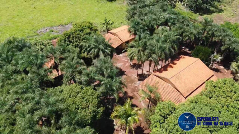 Imagem Fazenda à Venda, 27 m² em Zona Rural - Acreúna Imagem Fazenda à Venda, 27 m² em Zona Rural - Acreúna