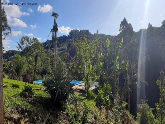 Imagem Casa com 2 Quartos à Venda, 64 m² em Recanto Dos Plátanos - Nova Petrópolis Imagem Casa com 2 Quartos à Venda, 64 m² em Recanto Dos Plátanos - Nova Petrópolis