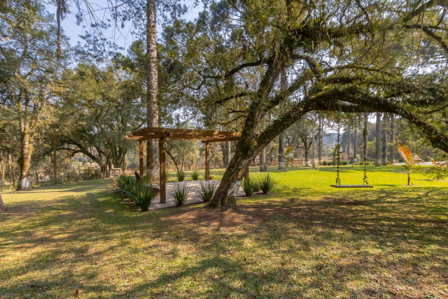 Imagem Imóvel com 4 Quartos à Venda, 37.906 m² em Ouro Verde - Campo Largo Imagem Imóvel com 4 Quartos à Venda, 37.906 m² em Ouro Verde - Campo Largo