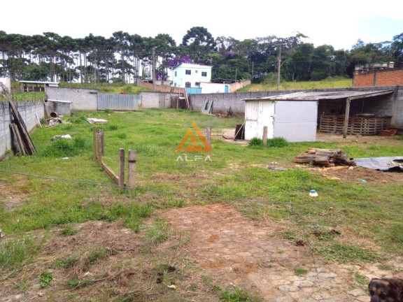 Imagem Imóvel com 2 Quartos à Venda, 1.000 m² Imagem Imóvel com 2 Quartos à Venda, 1.000 m²